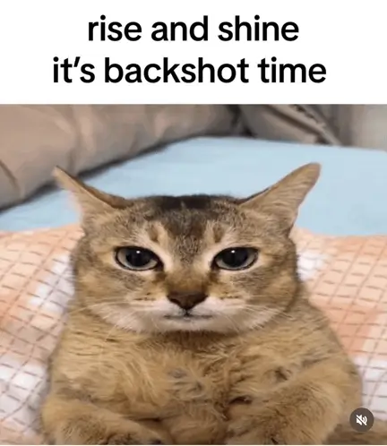 Backshots definícia meme